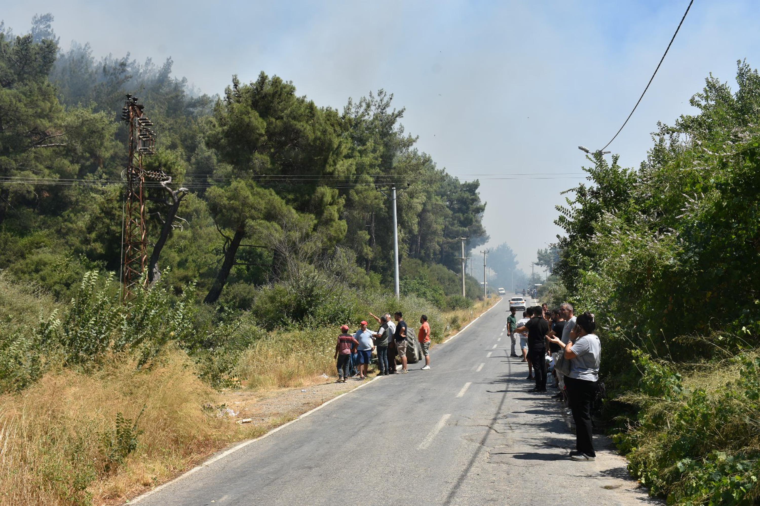 İzmir'de orman yangını