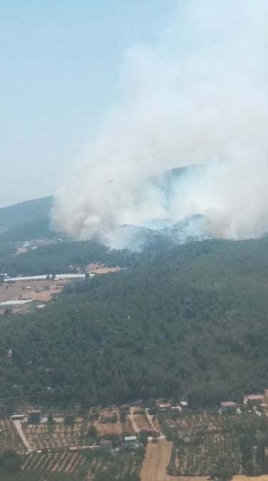 İzmir'de orman yangını