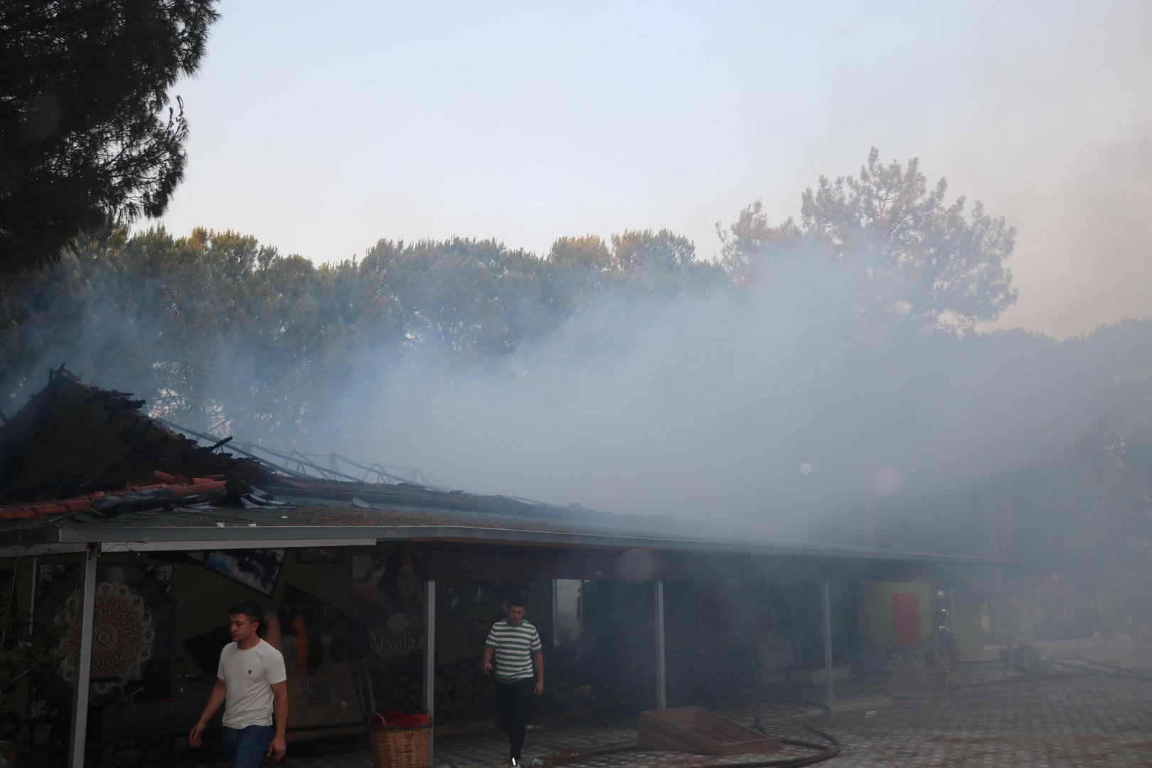 Selçuk'ta çıkan orman yangını Kuşadası'na da sıçradı