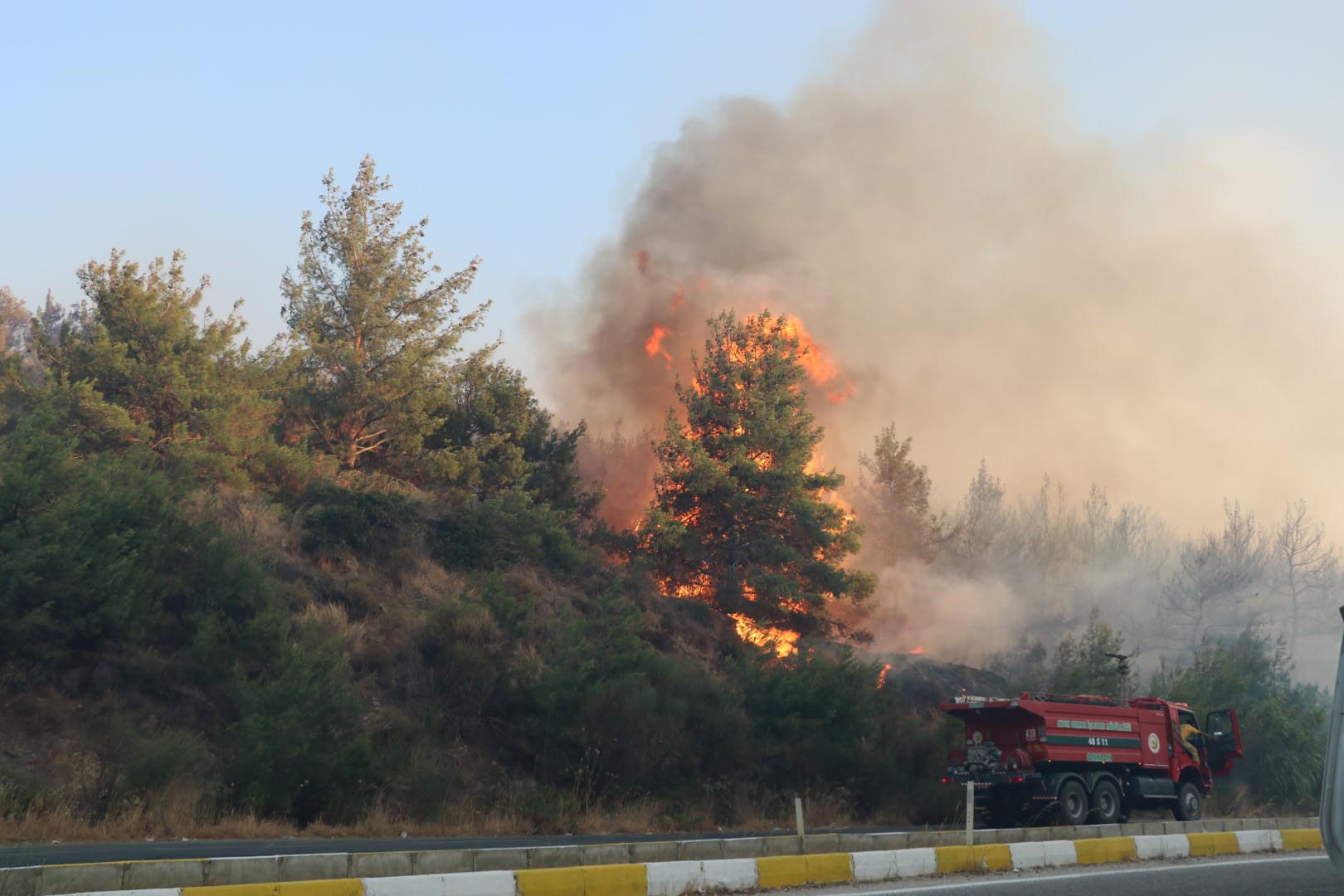 Selçuk'ta çıkan orman yangını Kuşadası'na da sıçradı