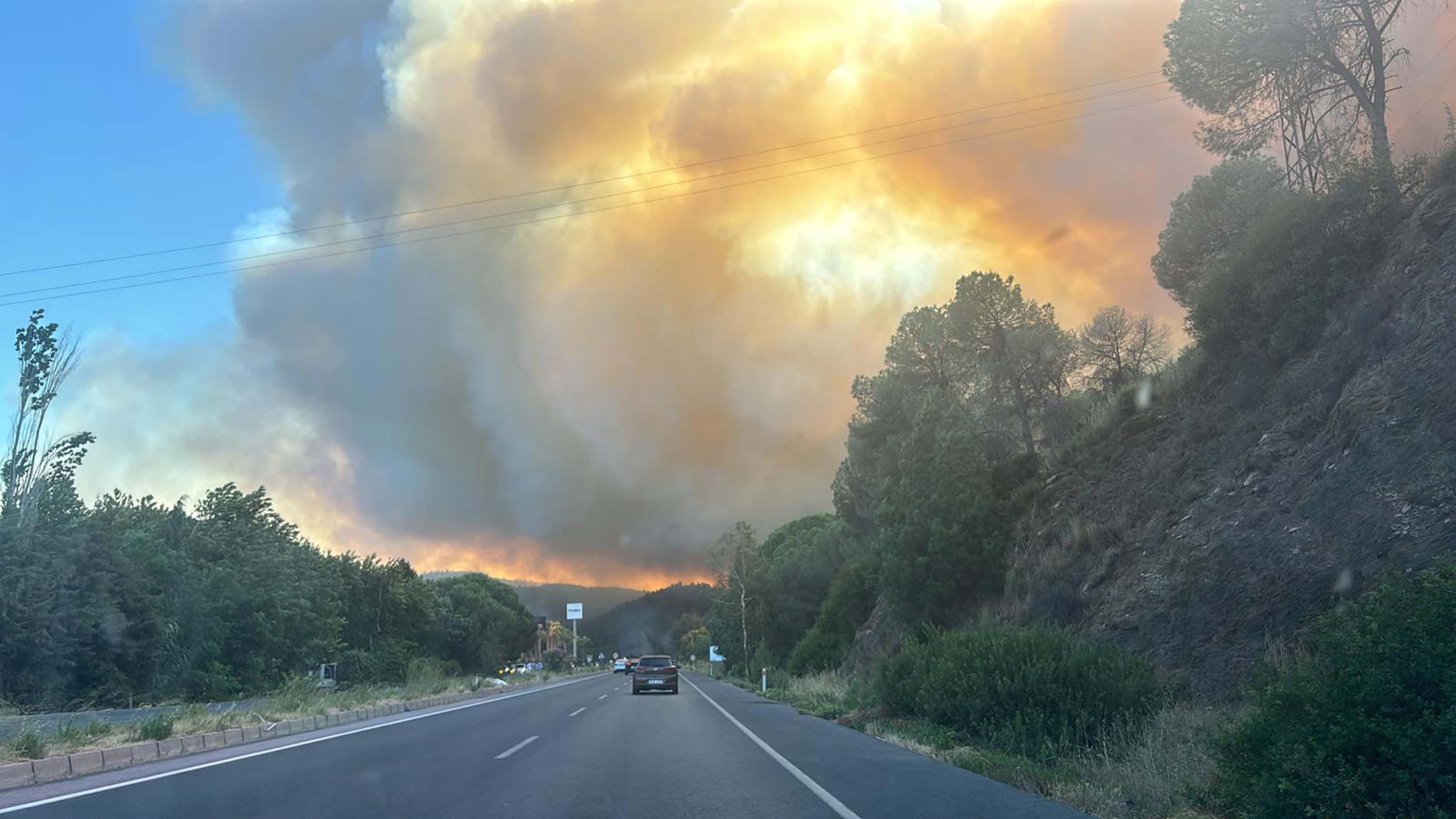 Selçuk'ta çıkan orman yangını Kuşadası'na da sıçradı