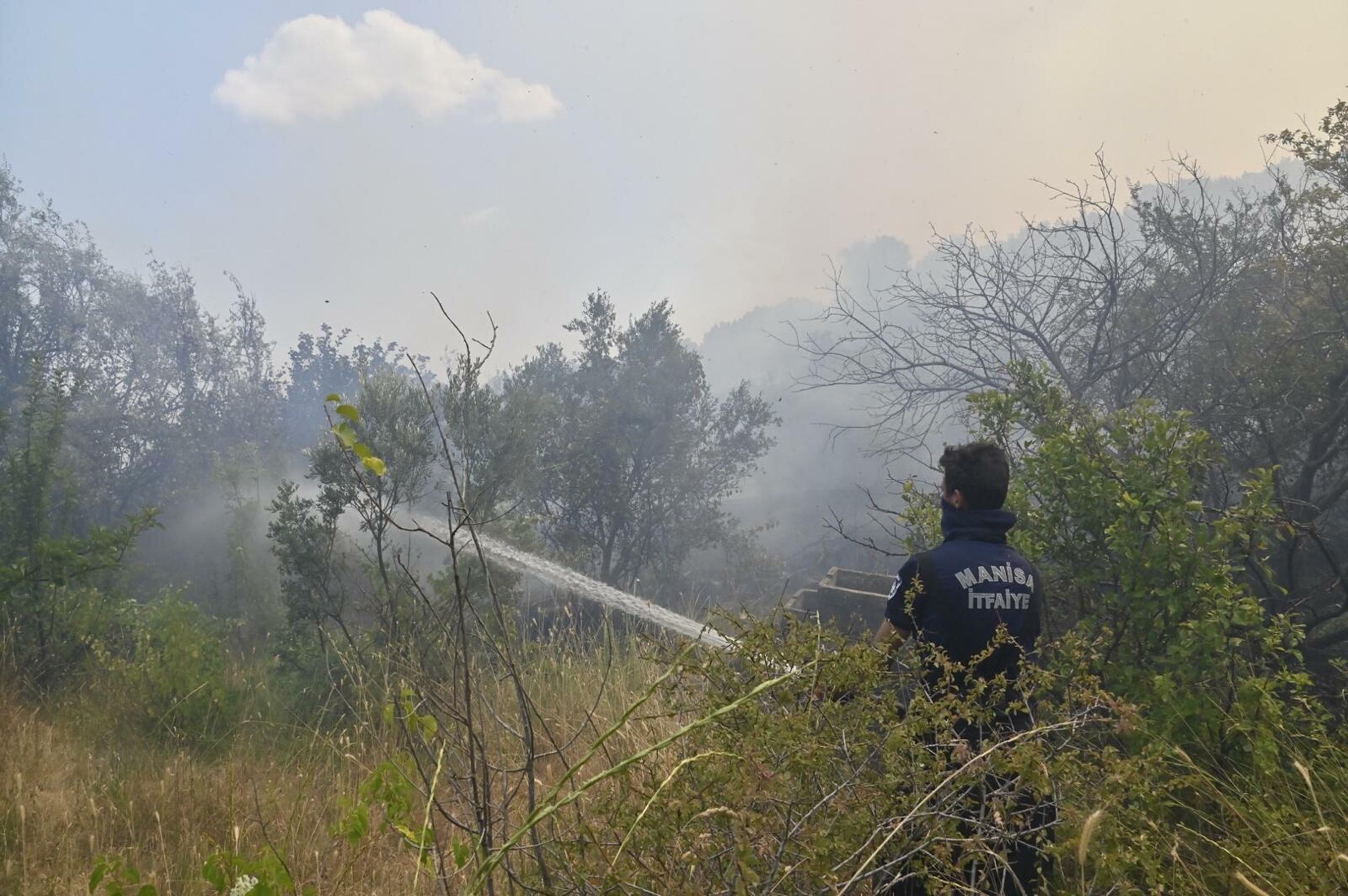 İzmir Bornova'da orman yangını