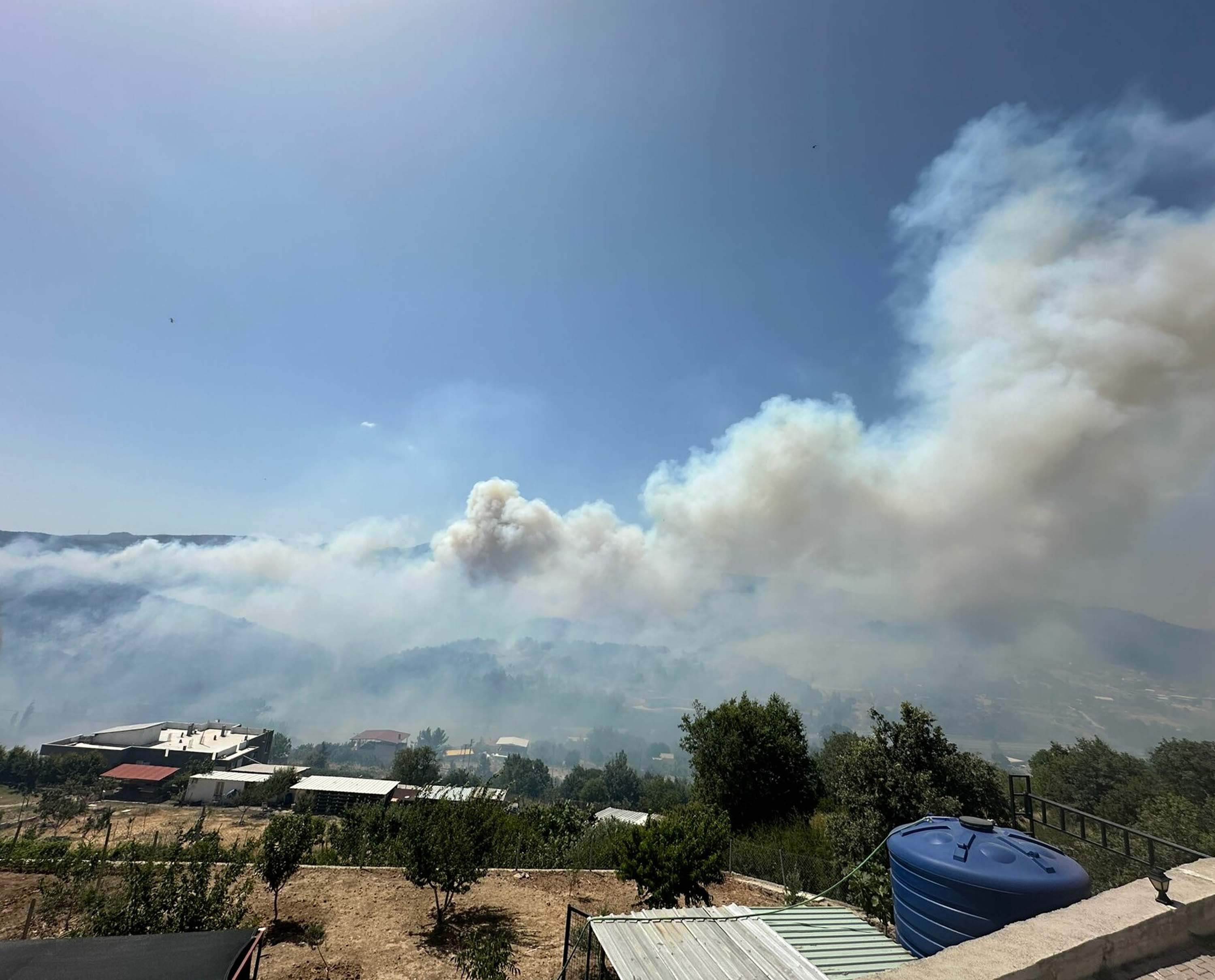 İzmir Bornova'da orman yangını