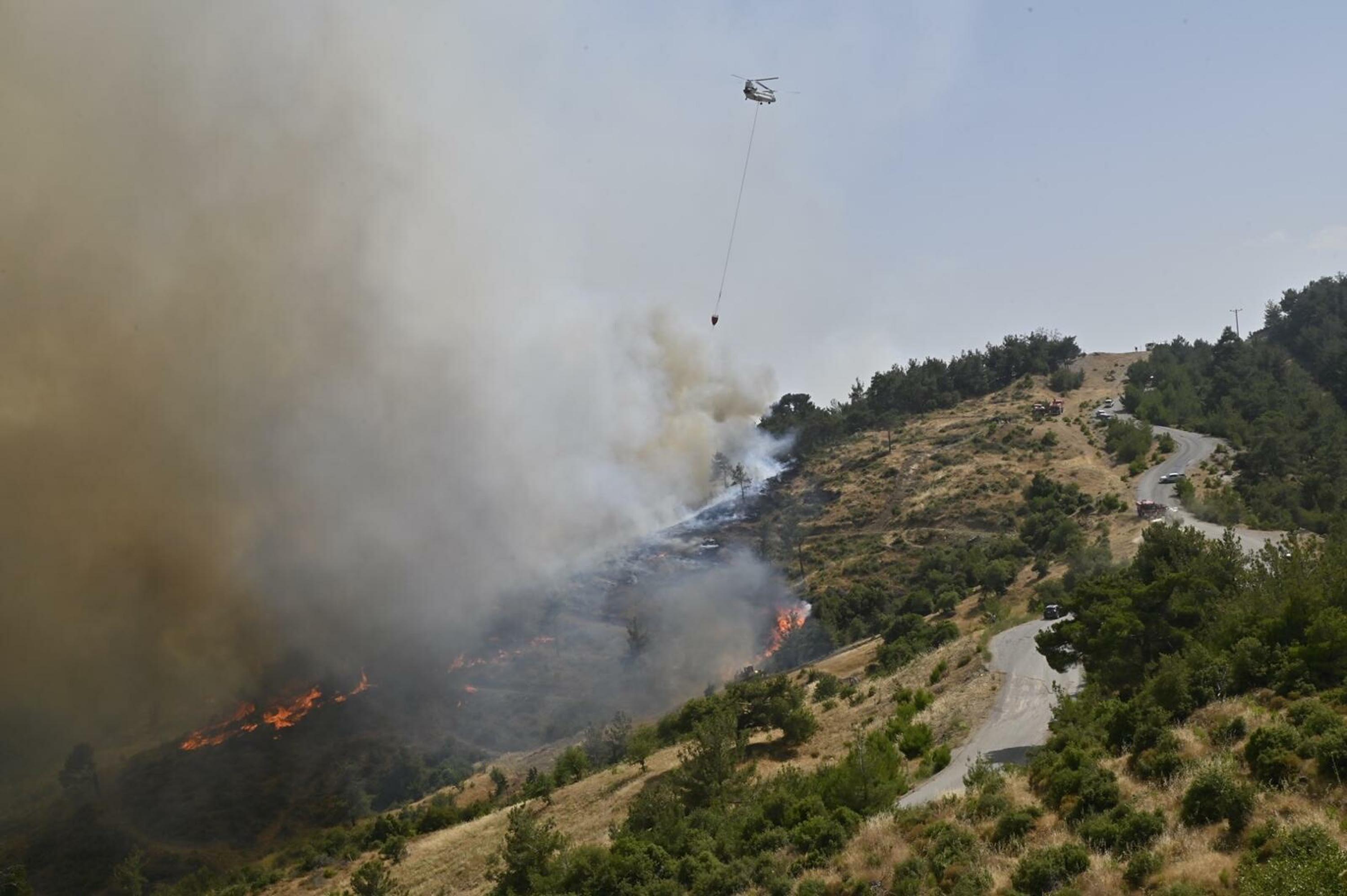 İzmir Bornova'da orman yangını