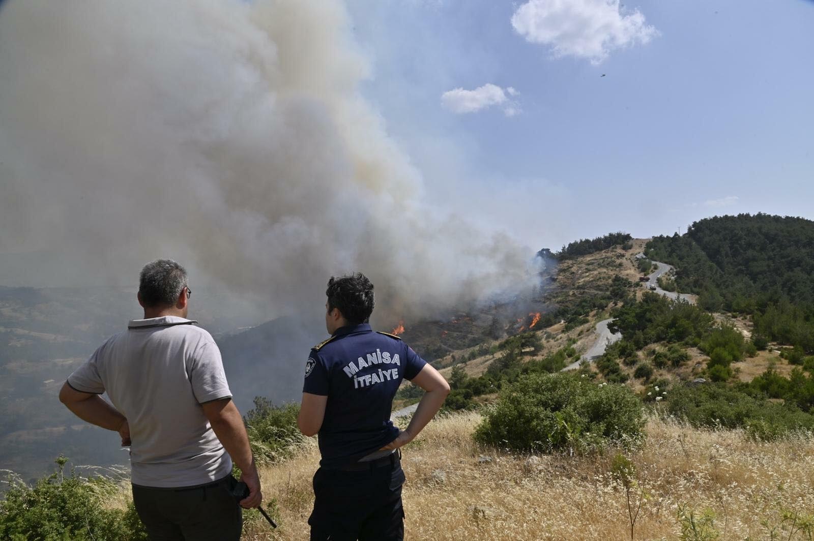 İzmir Bornova'da orman yangını