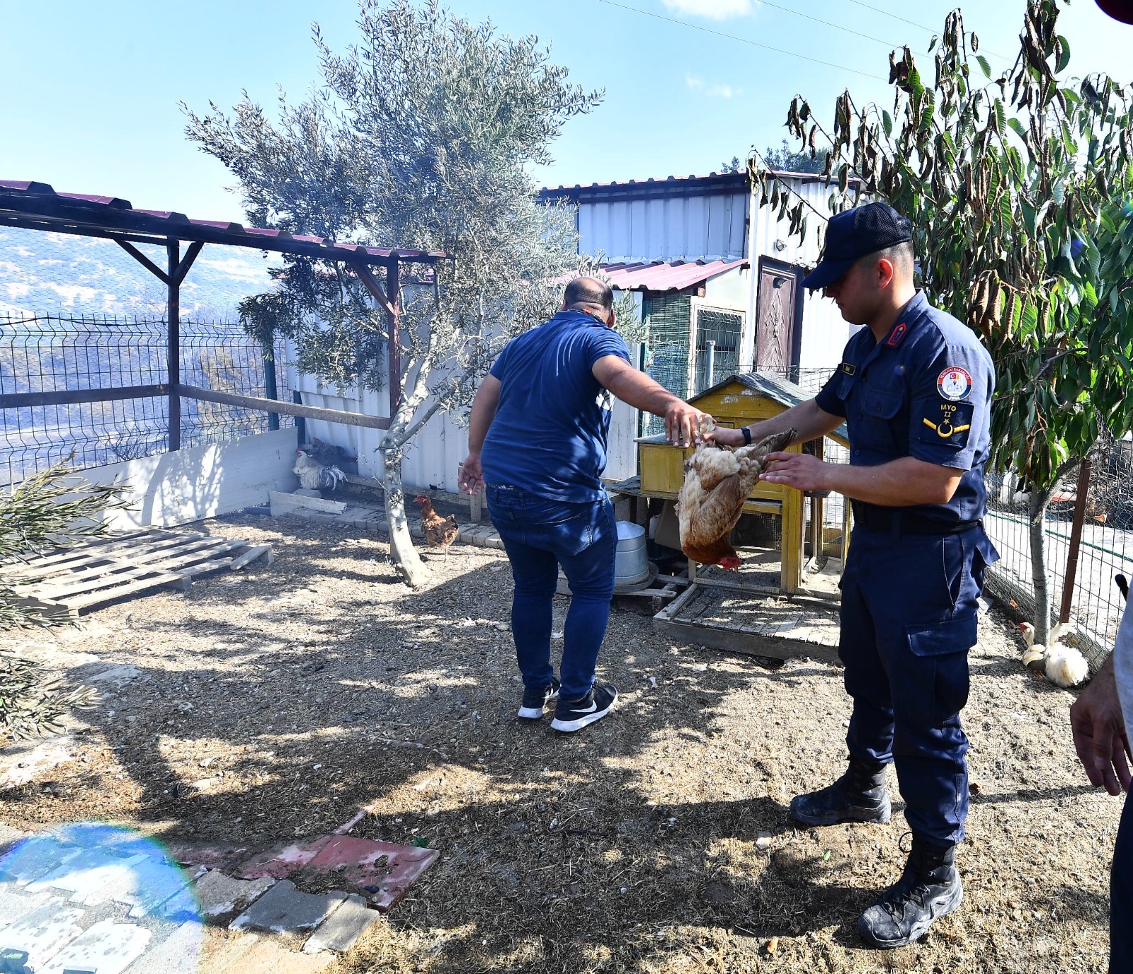 Bornova'da orman yangını