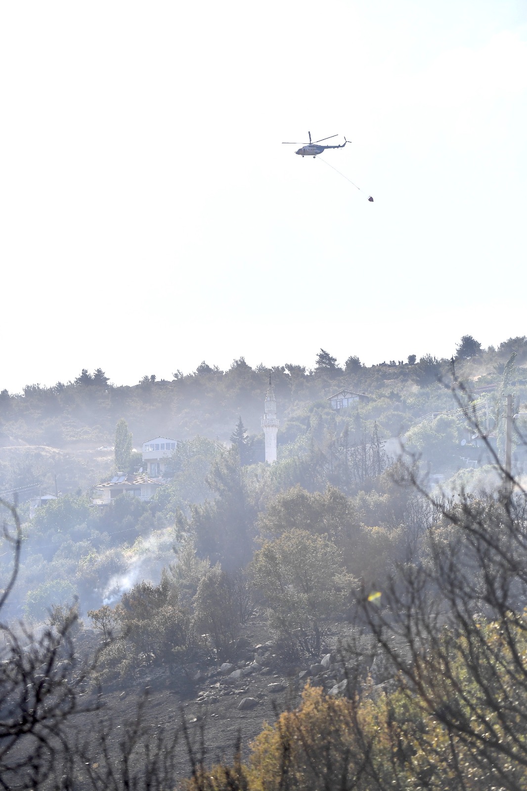 Bornova'da orman yangını