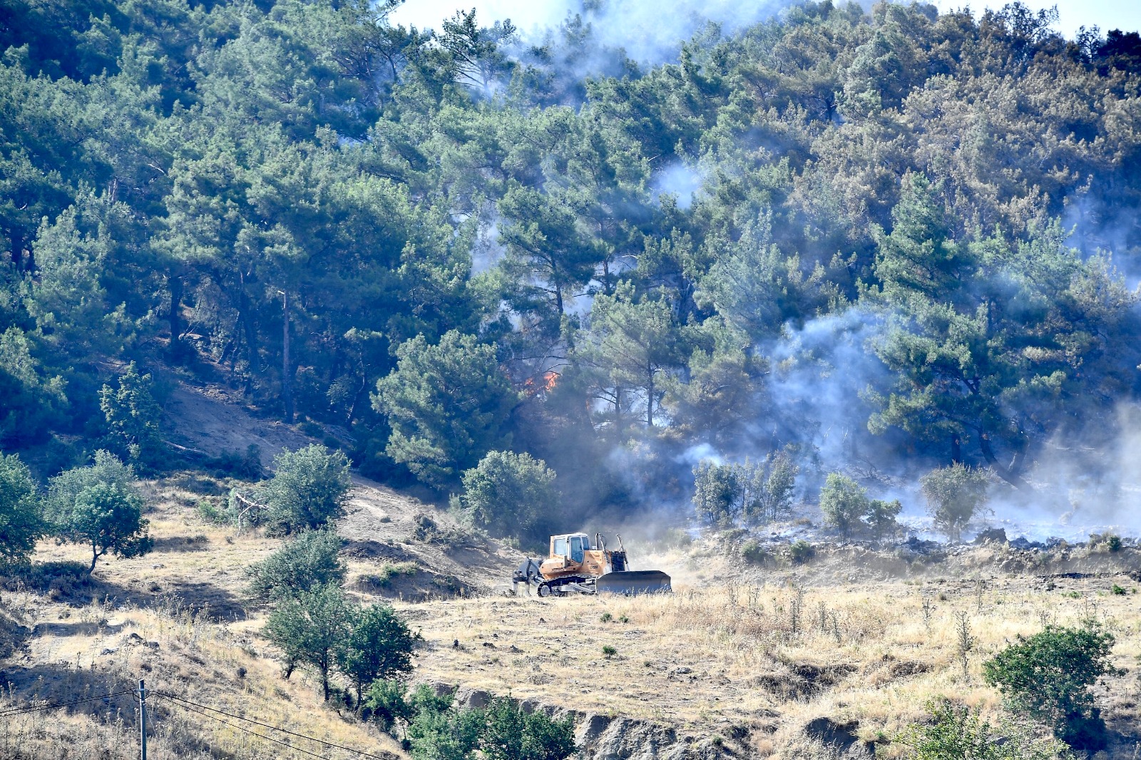 Bornova'da orman yangını