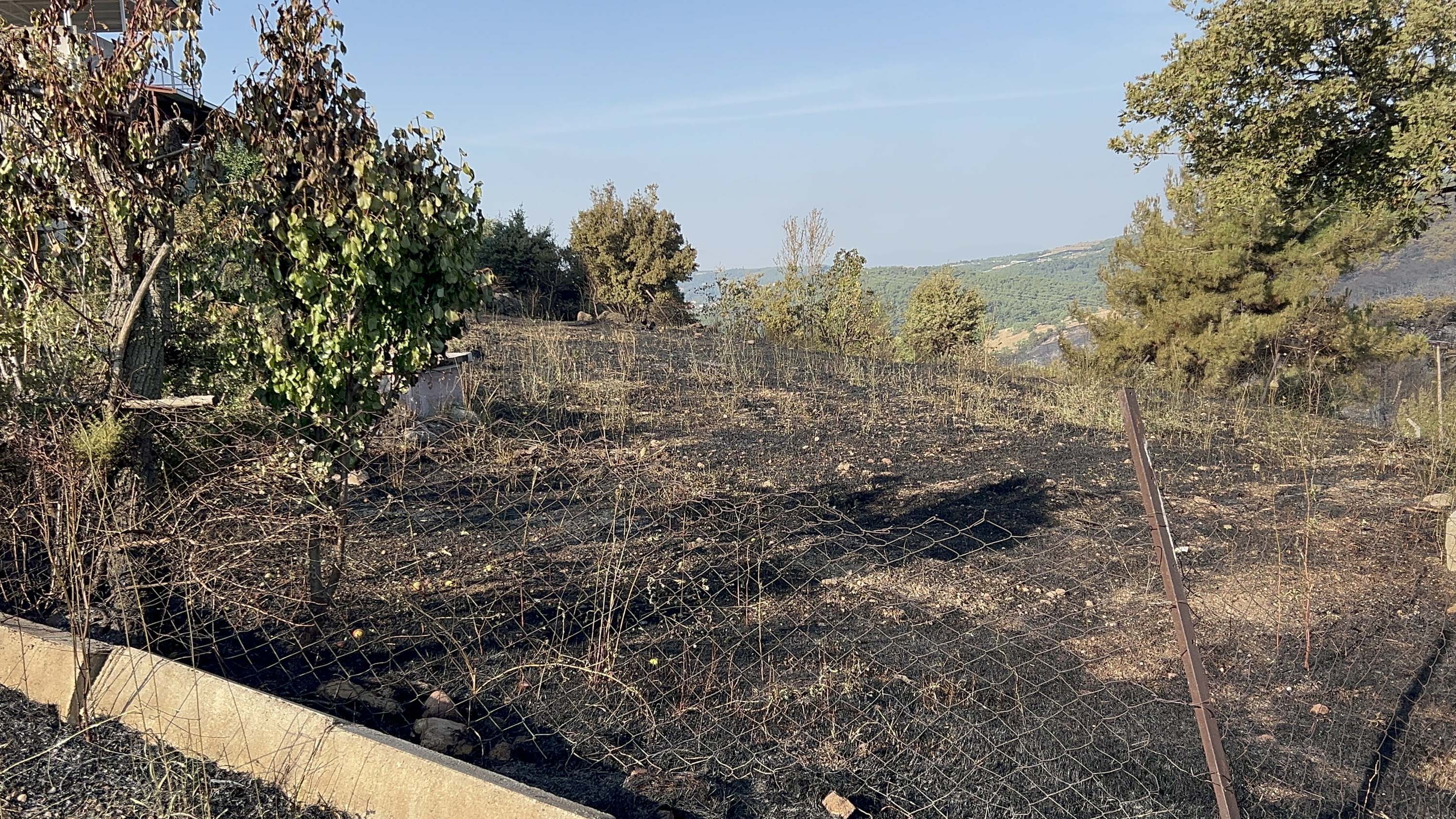 İzmir'deki orman yangınında 2'nci gün