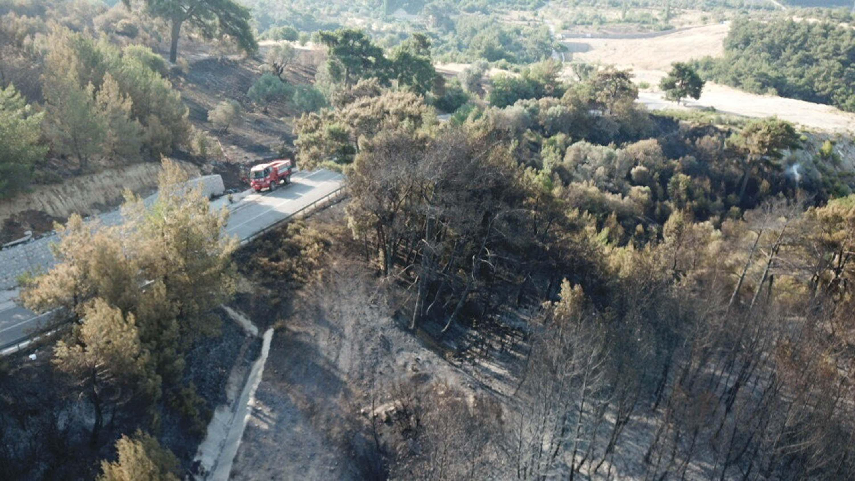 İzmir'deki orman yangınında 2'nci gün