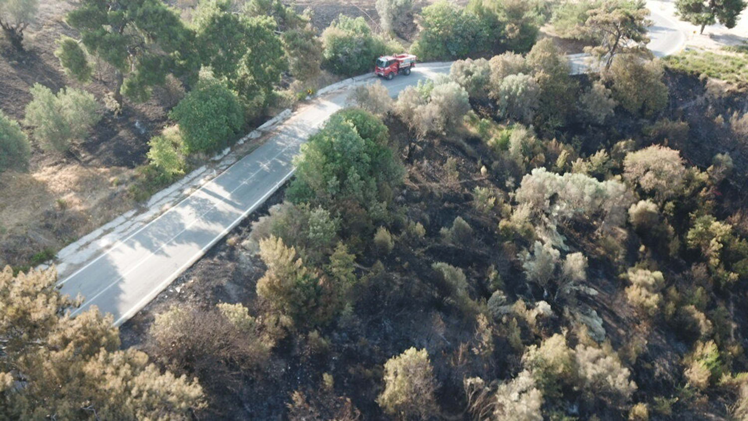 İzmir'deki orman yangınında 2'nci gün