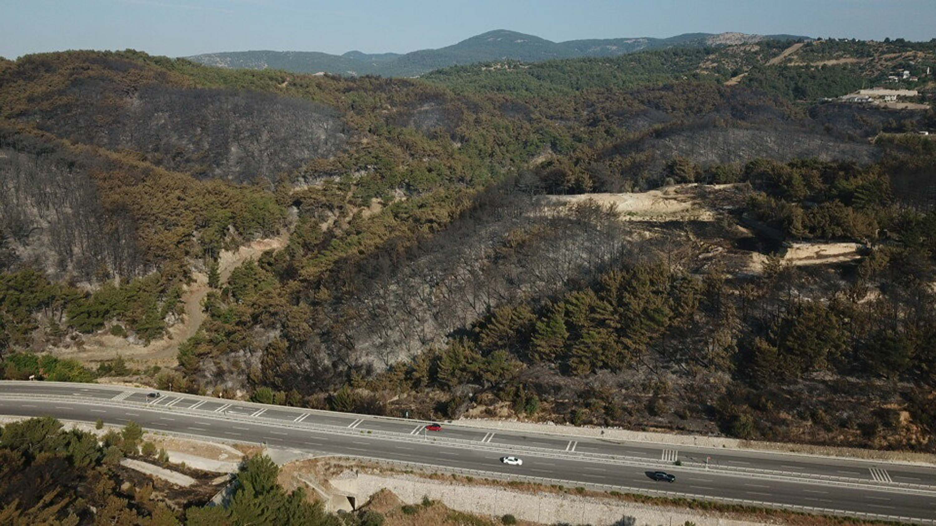 İzmir'deki orman yangınında 2'nci gün