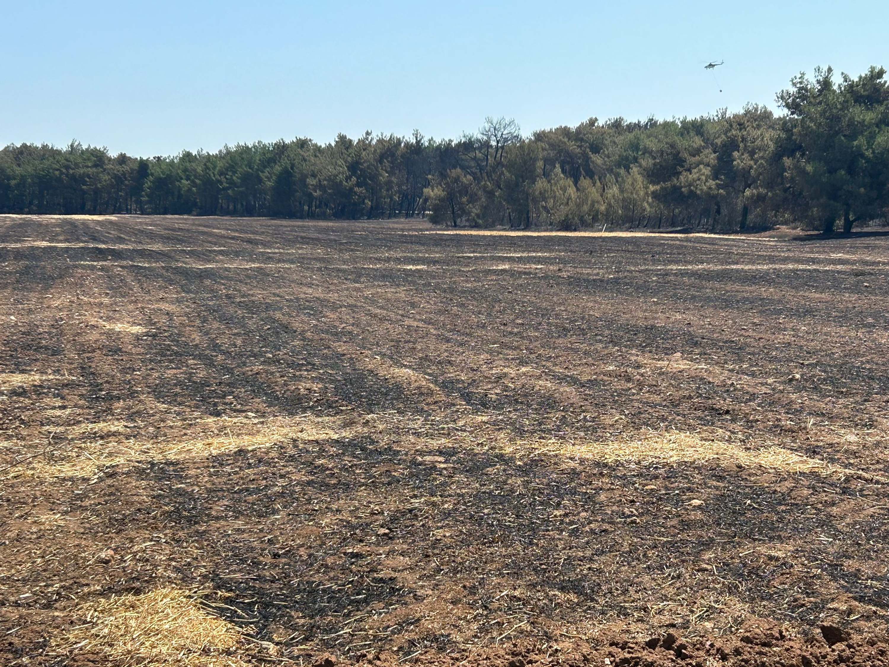 Buca'da başlayıp Gaziemir'e de sıçrayan orman yangını 2'nci gününde