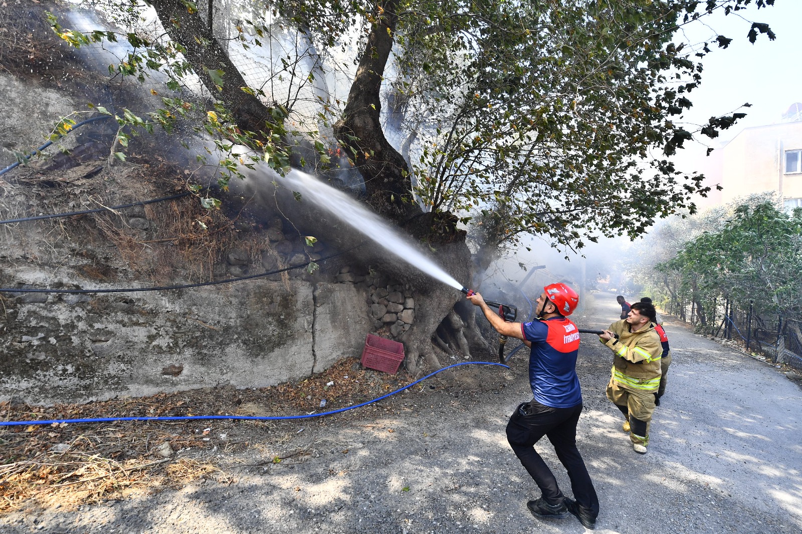 İzmir'de yangın kabusu