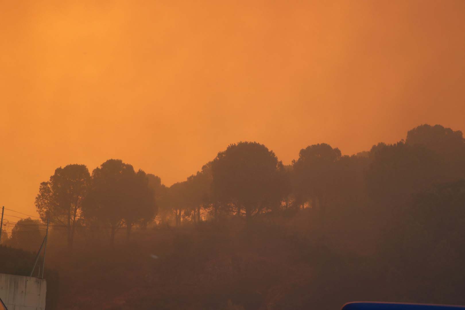 İzmir'de yangın kabusu