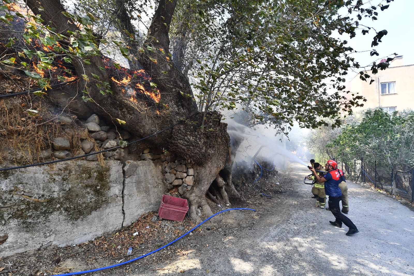 İzmir'de yangın kabusu