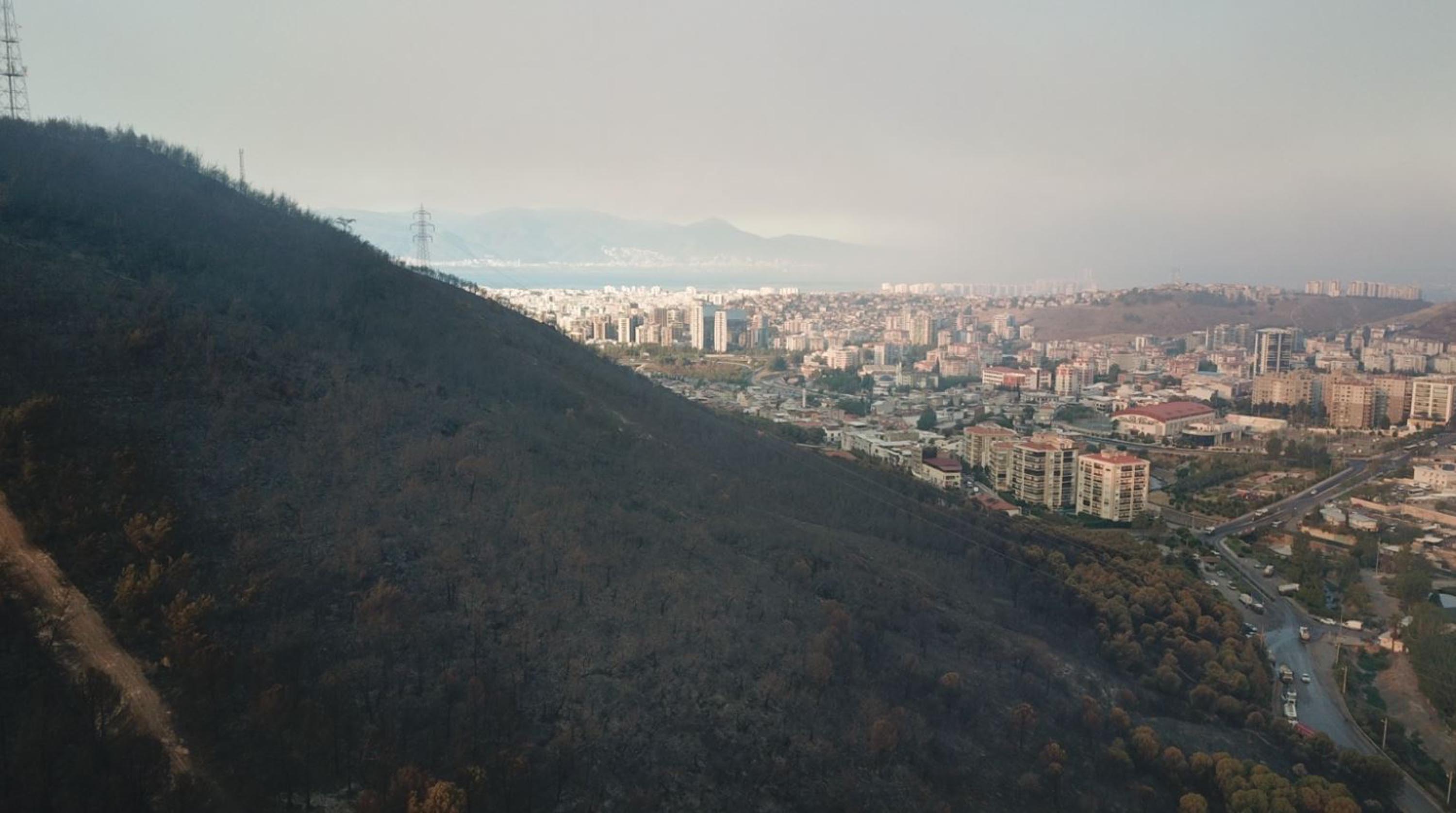 Yangından 4 bin hektarlık alan etkilendi