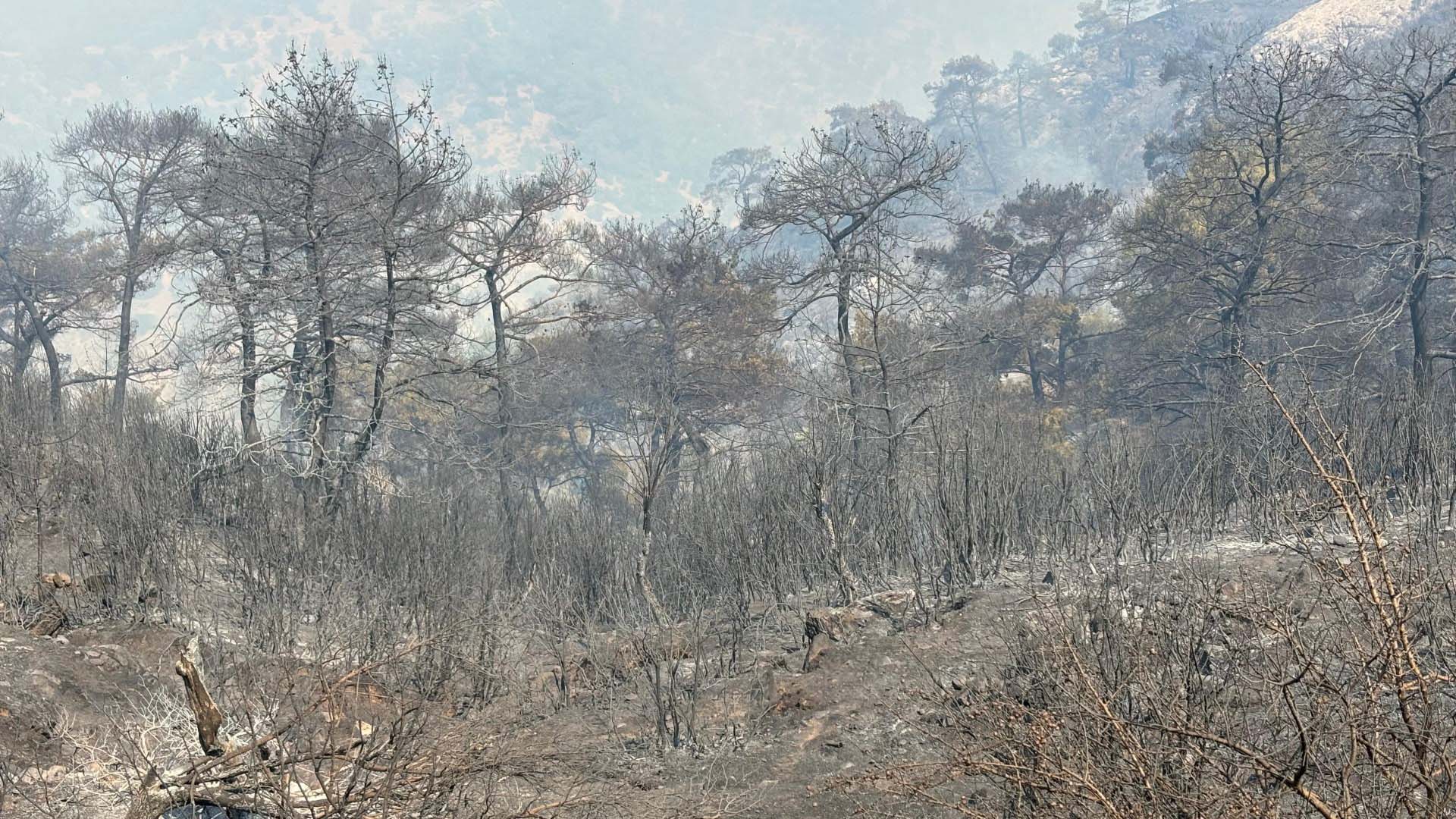 Yangından 4 bin hektarlık alan etkilendi