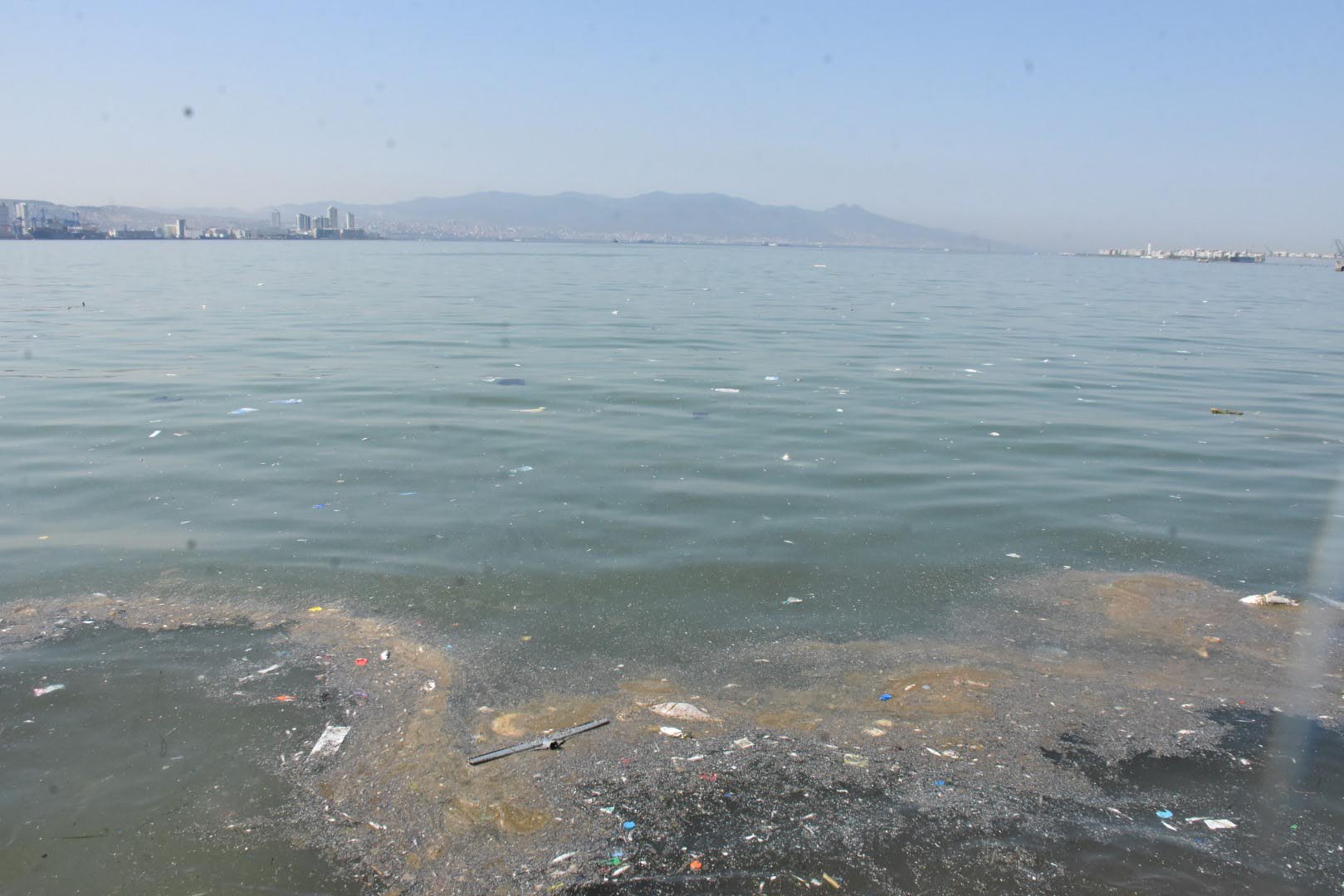 İzmir'de ölü balıklar kıyıya vurdu