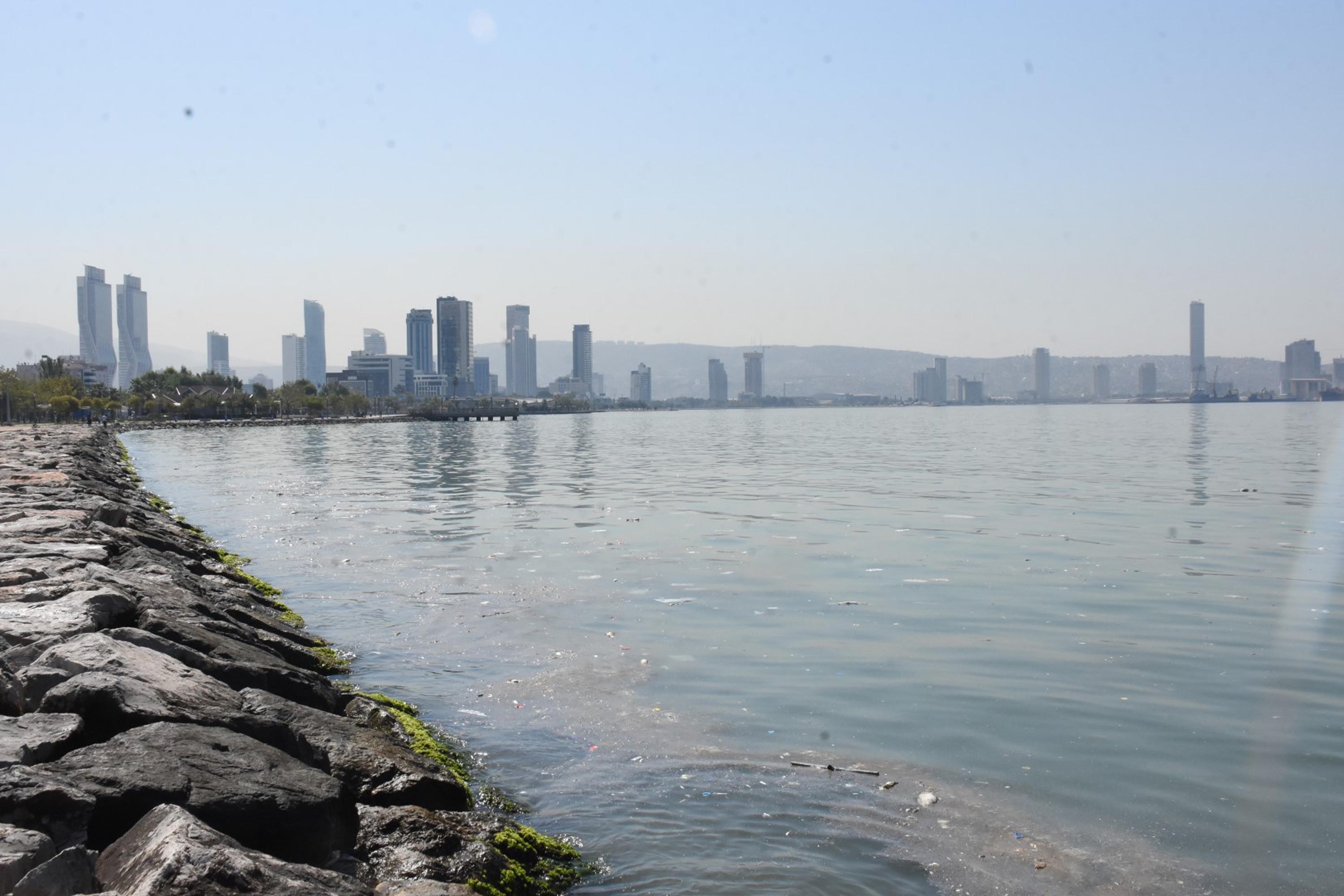 İzmir'de ölü balıklar kıyıya vurdu