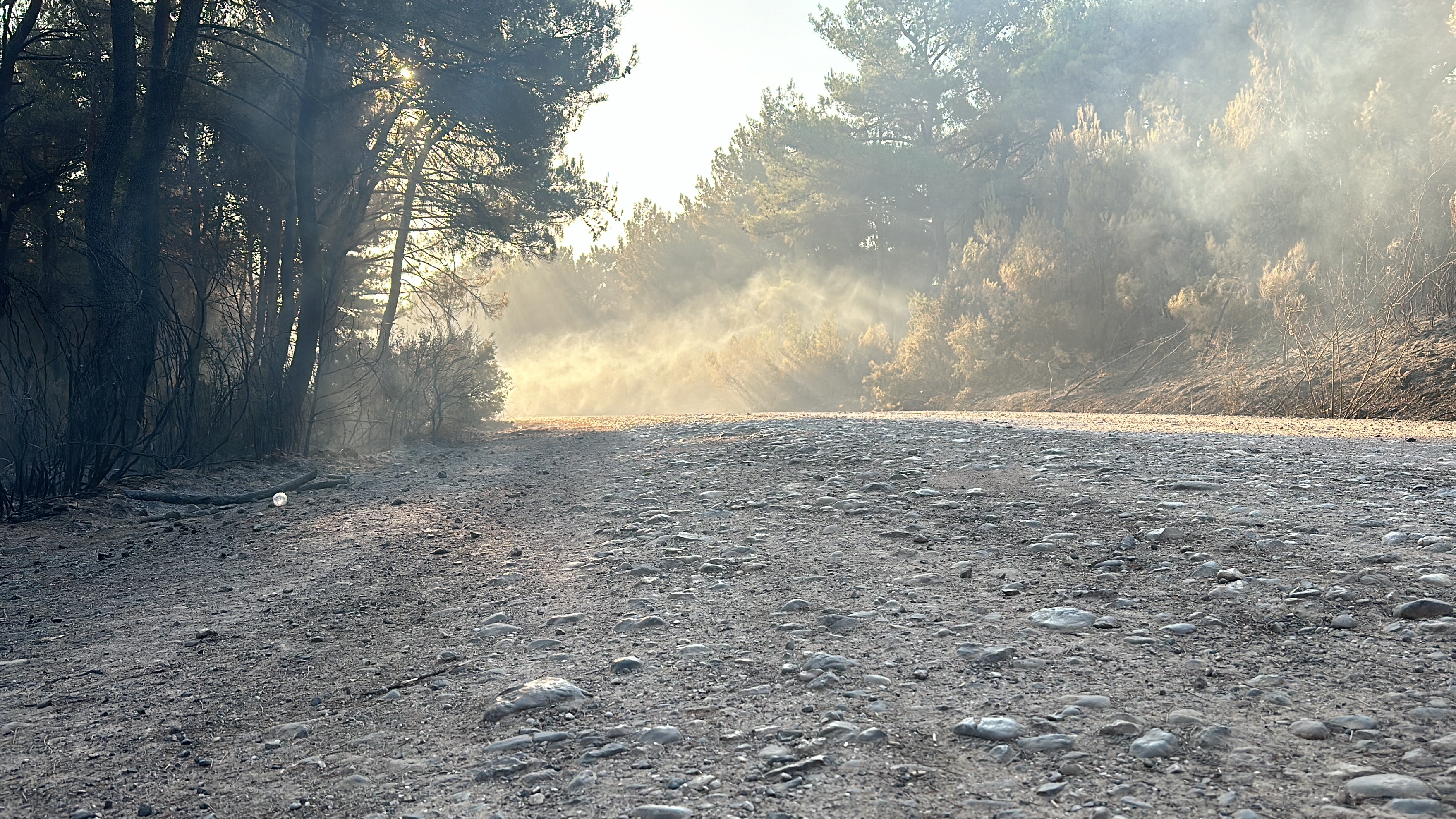 Buca'da başlayıp Gaziemir'e de sıçrayan orman yangını 2'nci gününde