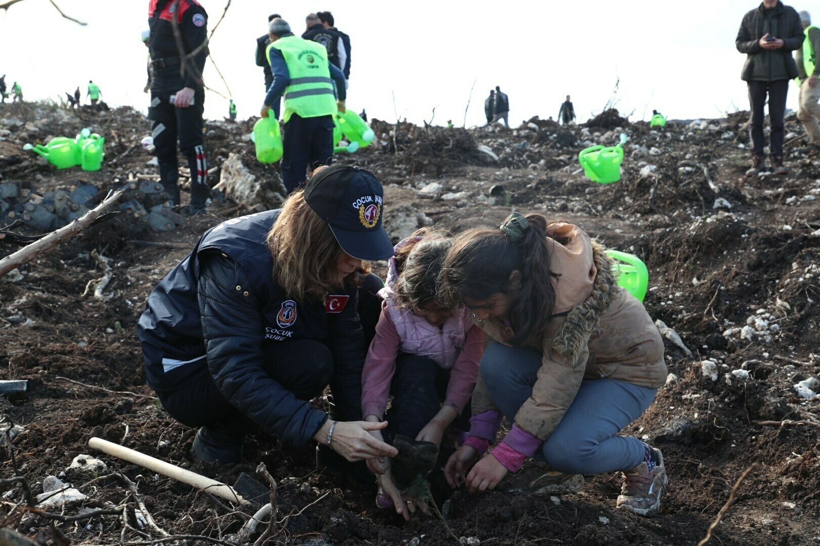 İzmir'de polisin diktiği fidanlar yanan ormanı yeşertecek