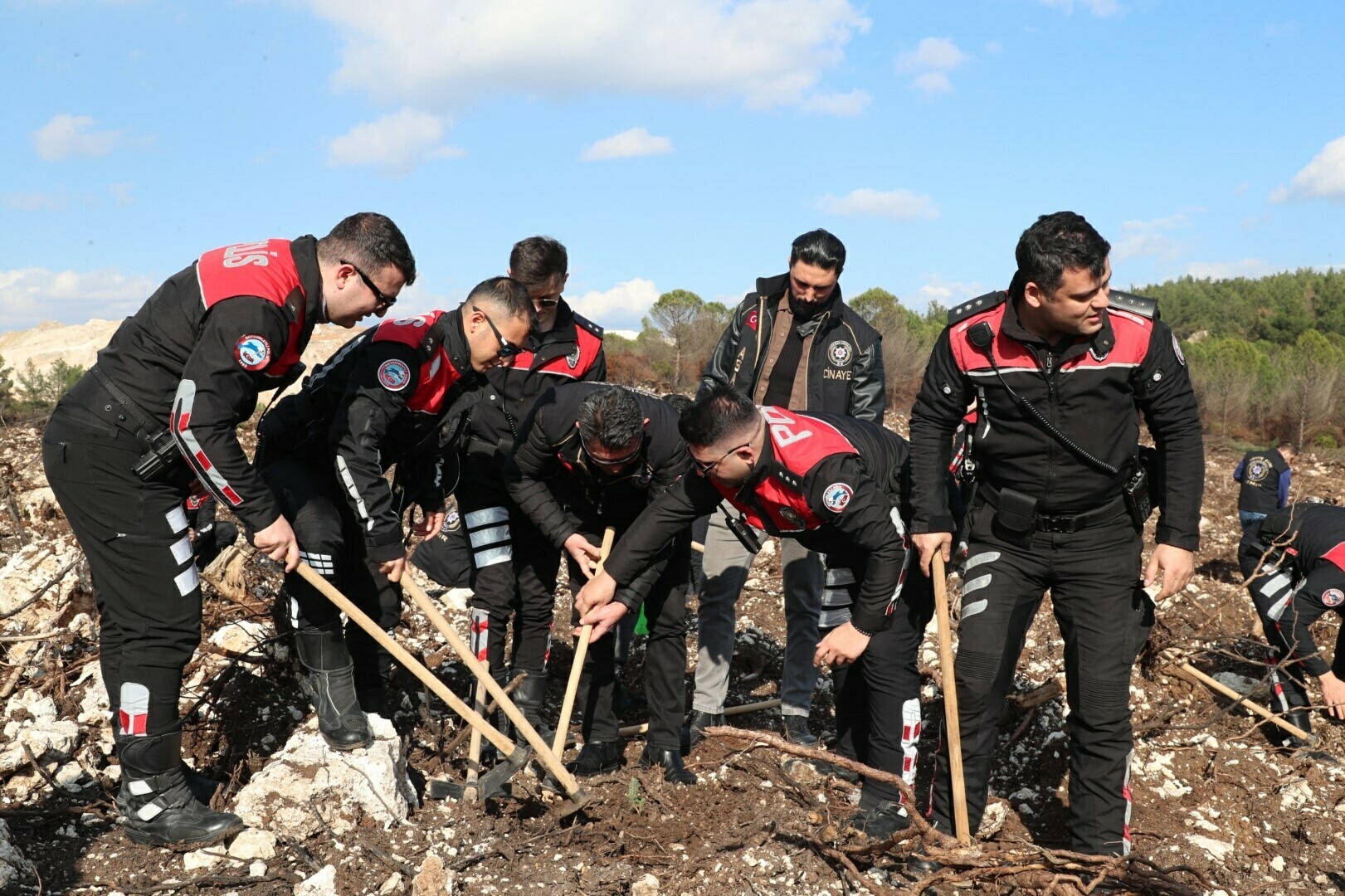 İzmir'de polisin diktiği fidanlar yanan ormanı yeşertecek