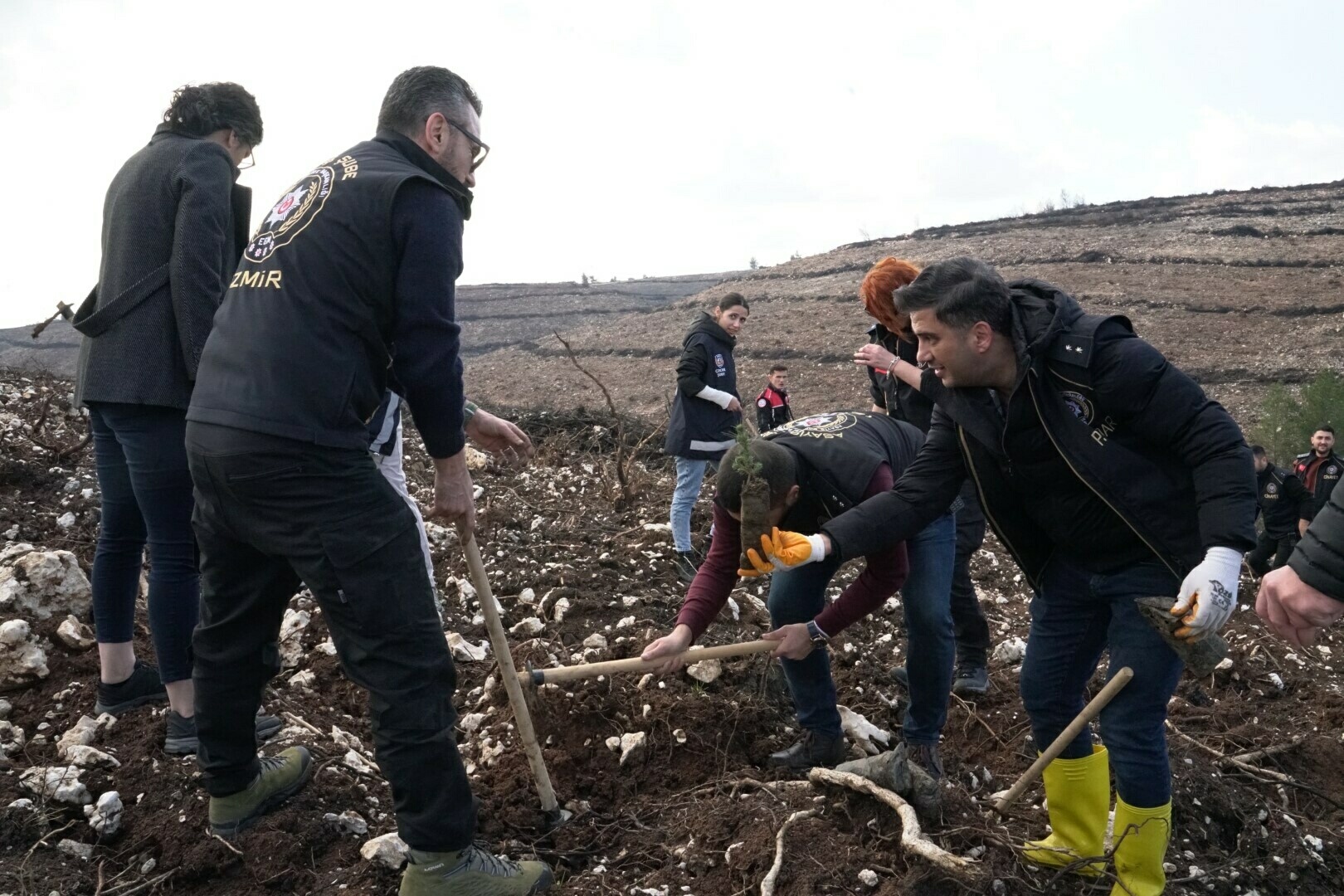 İzmir'de polisin diktiği fidanlar yanan ormanı yeşertecek