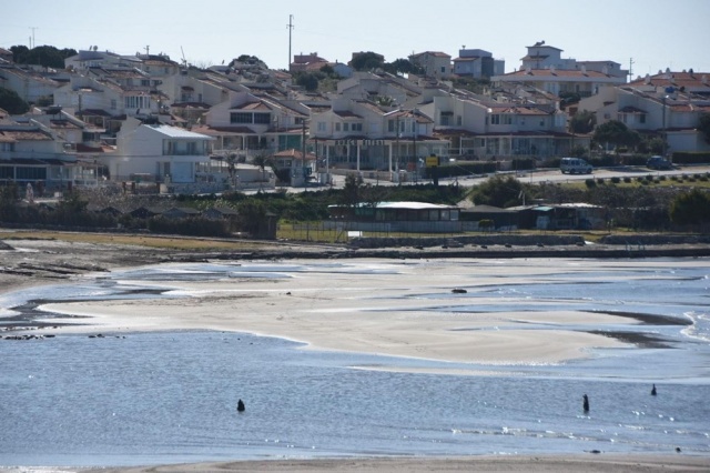 İzmir'de deniz 50 metre çekildi