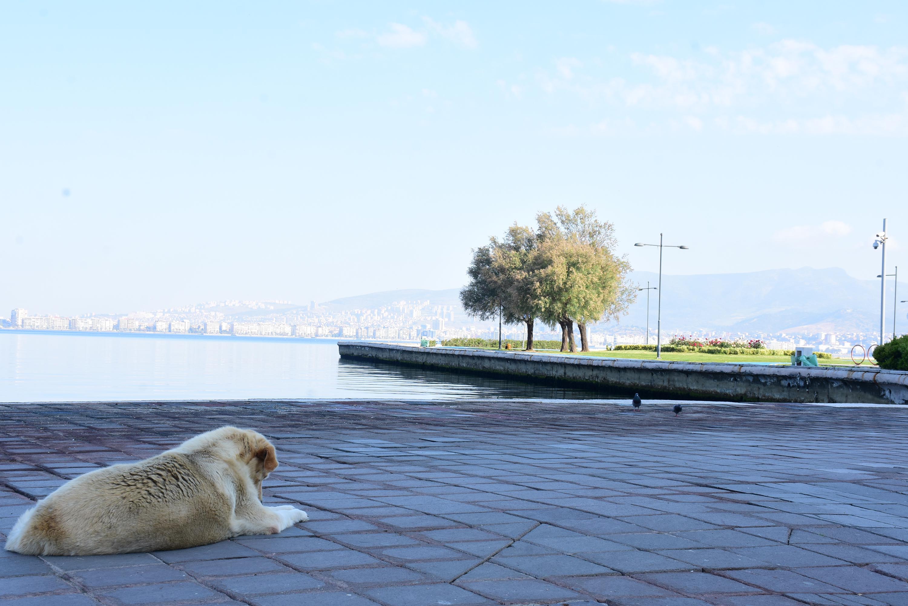 İzmir'de sessiz 1 Mayıs