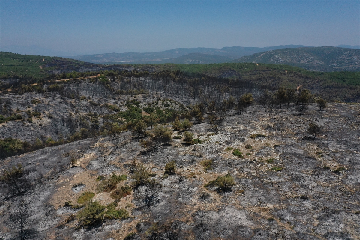 Menderes'teki yangının tahribatı görüntülendi