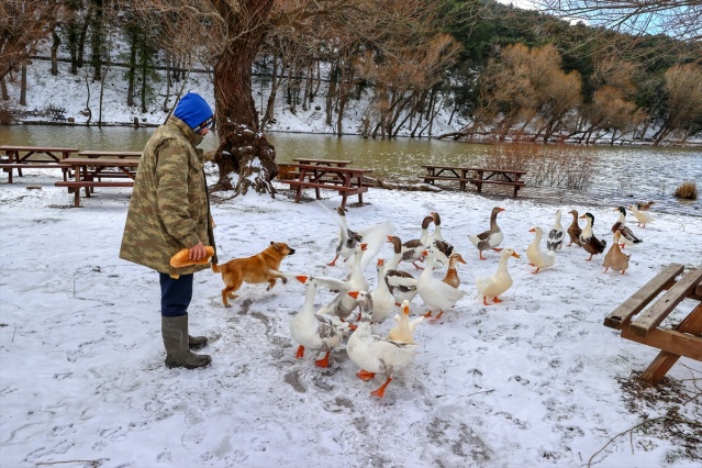 Karagöl Tabiat Parkı beyaza büründü