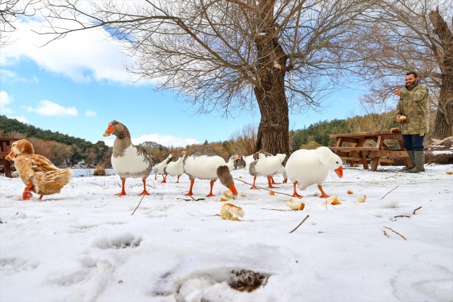 Karagöl Tabiat Parkı beyaza büründü