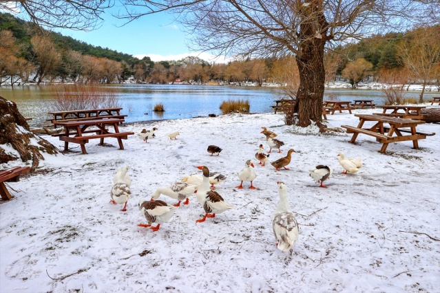 Karagöl Tabiat Parkı beyaza büründü