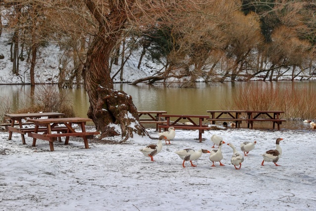 Karagöl Tabiat Parkı beyaza büründü