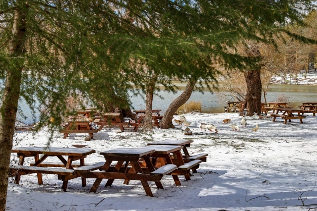 Karagöl Tabiat Parkı beyaza büründü