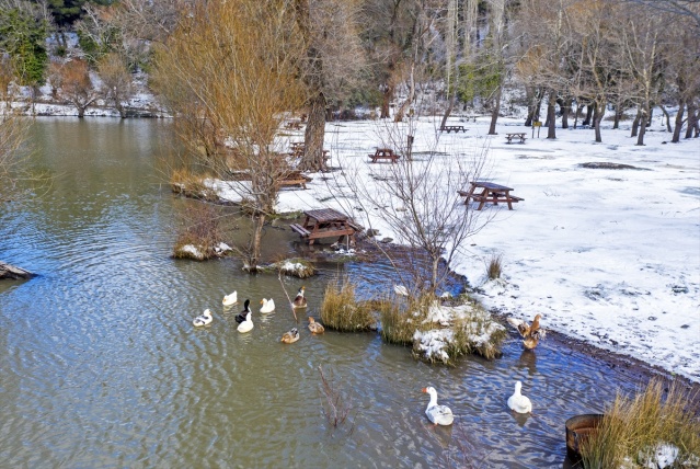 Karagöl Tabiat Parkı beyaza büründü