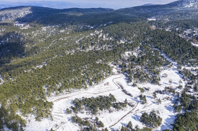 Karagöl Tabiat Parkı beyaza büründü