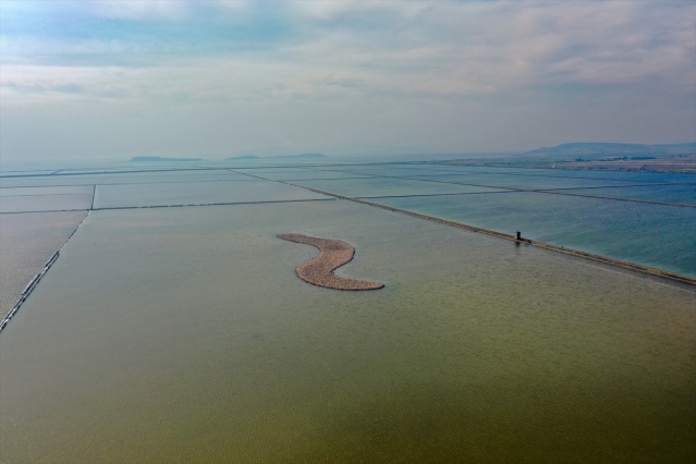 İzmir'deki 'flamingo adası' kuluçkaya yatan binlerce allı turnaya kucak açtı