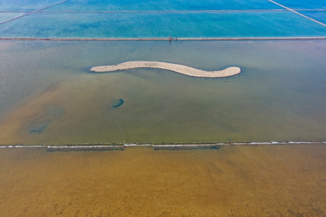 İzmir'deki 'flamingo adası' kuluçkaya yatan binlerce allı turnaya kucak açtı