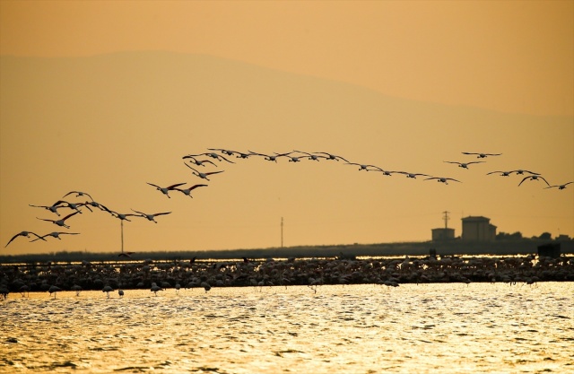 İzmir Kuş Cenneti gün batımında ayrı güzelliğe bürünüyor