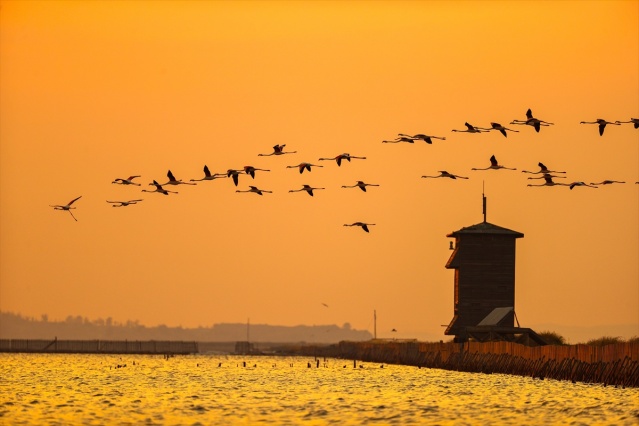 İzmir Kuş Cenneti gün batımında ayrı güzelliğe bürünüyor