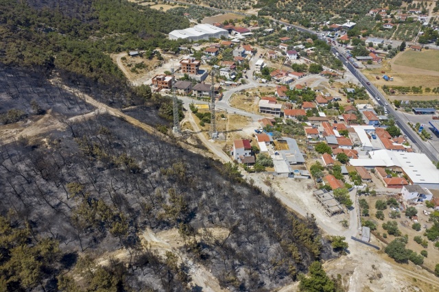 Foça'daki yangında hasar gören bölge havadan görüntülendi