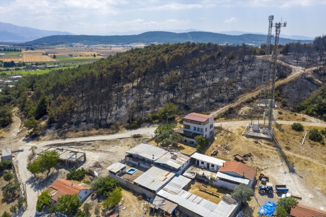 Foça'daki yangında hasar gören bölge havadan görüntülendi