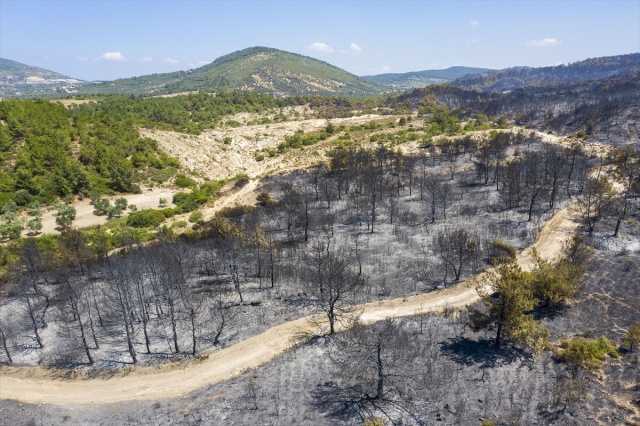 Foça'daki yangında hasar gören bölge havadan görüntülendi