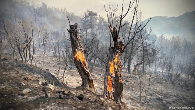 Fotoğraflarla yangından geriye kalanlar