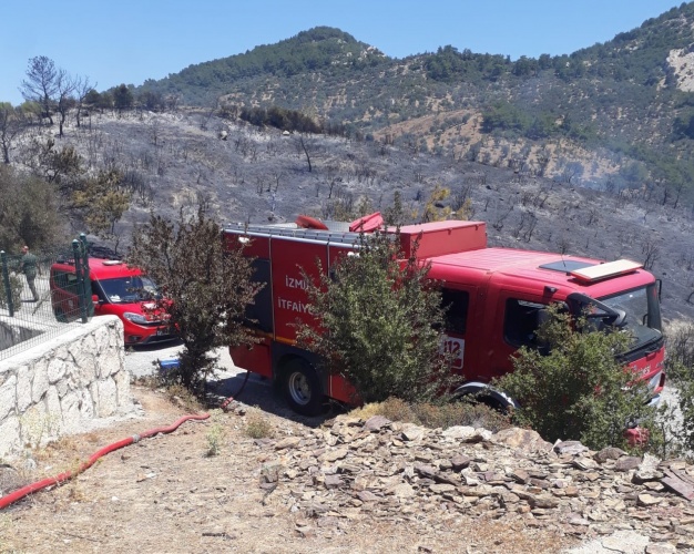 Seferihisar'da ağaçlandırma sahasında yandı