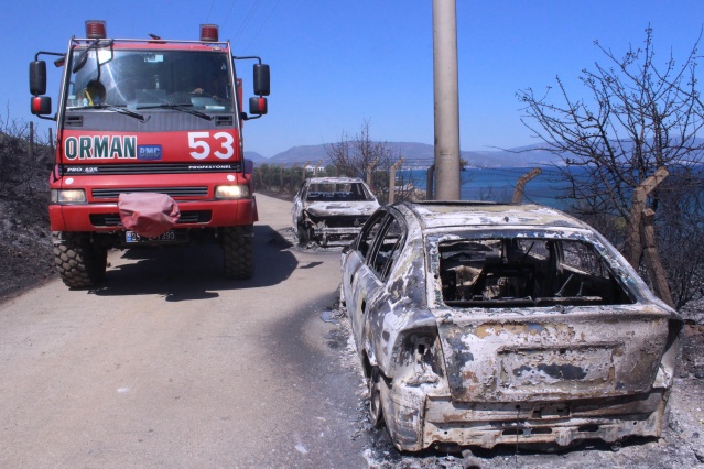 Seferihisar'da ağaçlandırma sahasında yandı