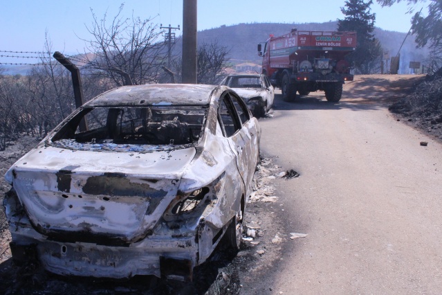 Seferihisar'da ağaçlandırma sahasında yandı