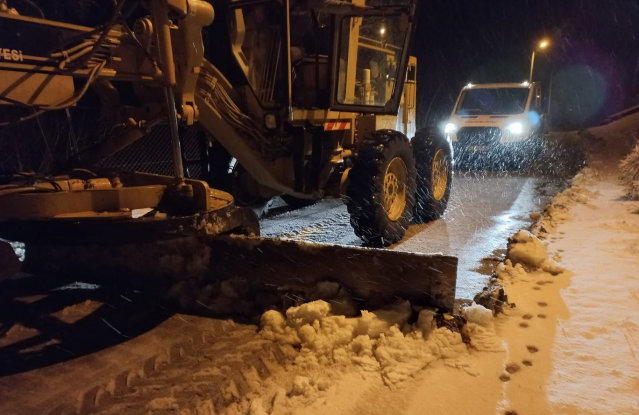 Bornova'da kar alarmı